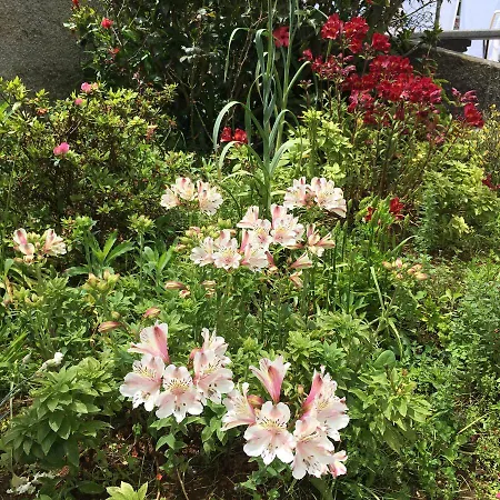 Oda ve Kahvaltı Casa Do Til 3*