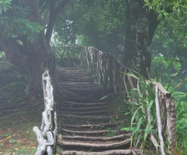 Bed & Breakfast Casa Do Til 3*