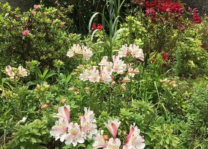 Bed & Breakfast Casa Do Til 3*