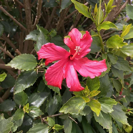 فندق مبيت وإفطار Casa Do Til