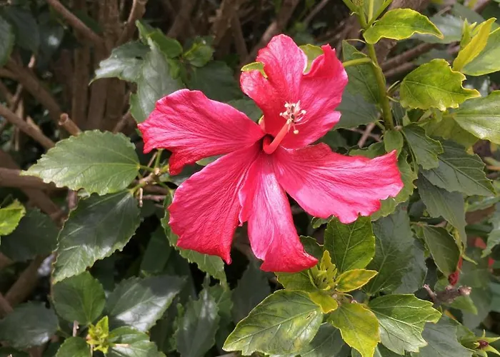 Nocleg ze śniadaniem Casa Do Til