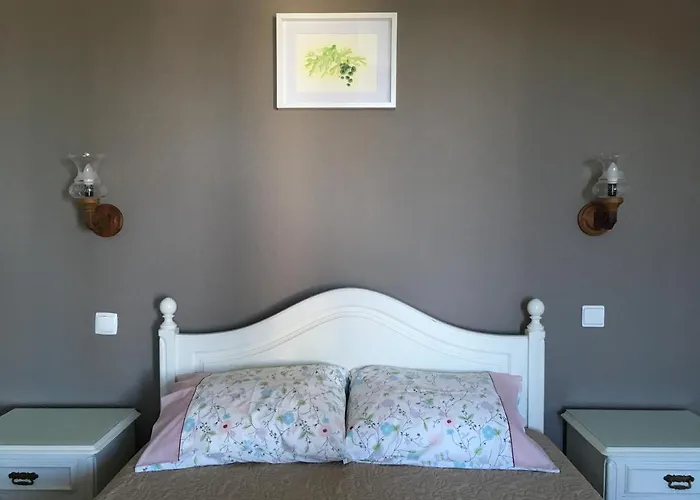 Casa Do Til 3* Сантана